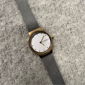 Skagen Two Tone Watch